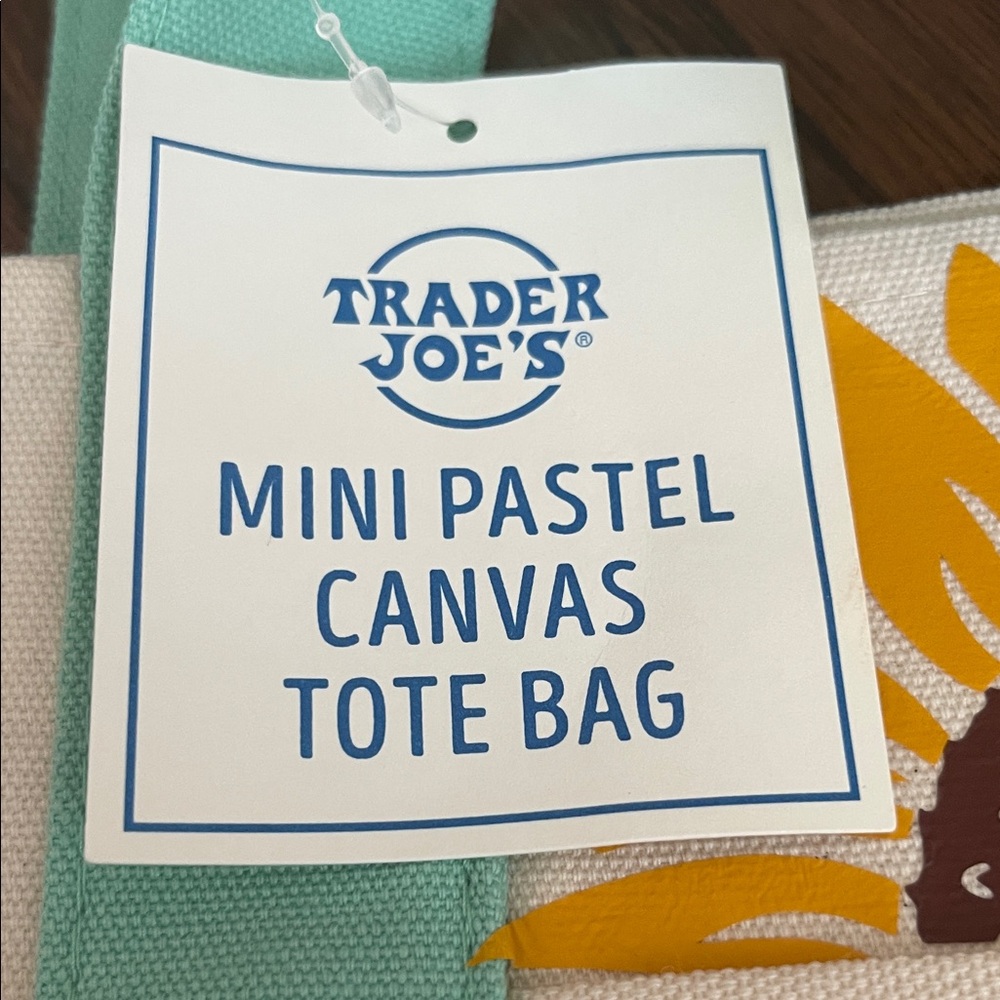 NWT Custom Trader Joe’s Mini Canvas Tote in Mint - Picture 6 of 7
